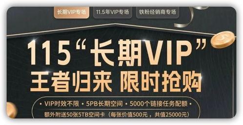 永久国产,揭秘其历史、文化与社会发展