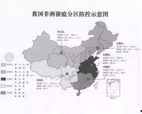 最新国产区,探索国产电影的新时代篇章