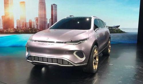 亚国产,新时代的东方力量